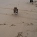 Sandy Roos Photo 16