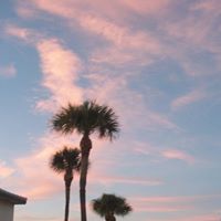 Janis Shannon Photo 20