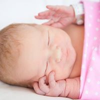 Stephanie Stevenson Photo 12