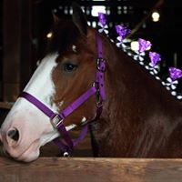 Vickie Doyle Photo 18