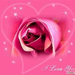 Velma Williams Photo 22