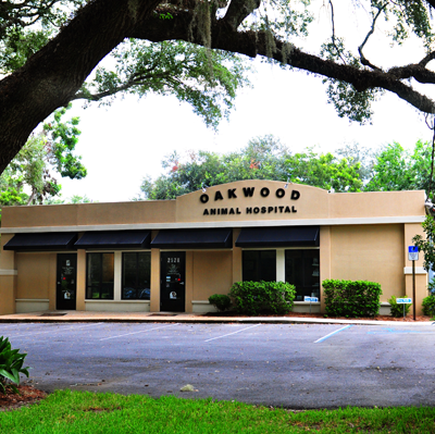 Andrew Simmons Photo 39