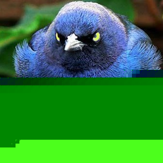 Penny Short Photo 27