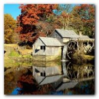 Sherry French Photo 12