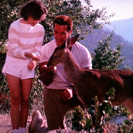 Warren Weaver Photo 11