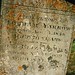 Elizabeth Wright Photo 36