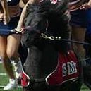 Mark Monson Photo 16