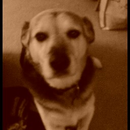 Theresa Bateman Photo 6