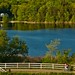 Neil Shapiro Photo 25