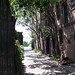 Charles Lane Photo 43