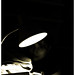 Sarah Lampe Photo 15