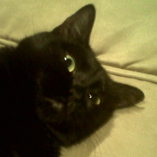 Matt Lucas Photo 19 Matt Lucas Photo 19