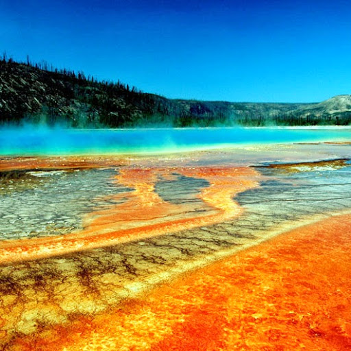 Jill Arnold Photo 17