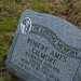 Burt Lewis Photo 11