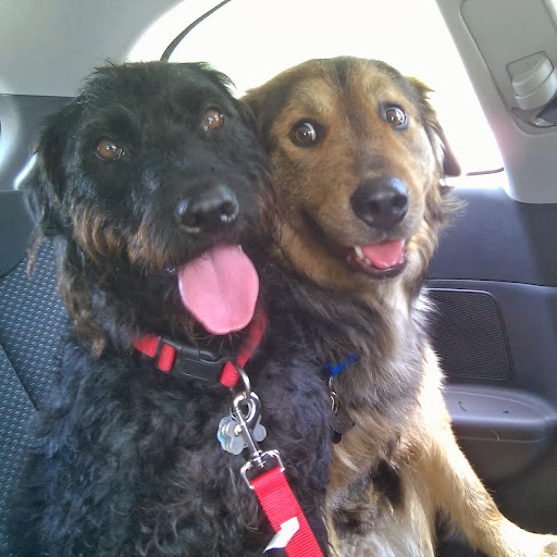 Yin Zhao Photo 7 Yin Zhao Photo 7