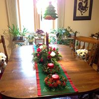 Joann Muniz Photo 16