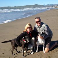 Carol Forsyth Photo 24