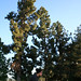 Jonathan Crouch Photo 25
