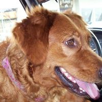 Anne Kirkland Photo 4