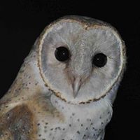 Cindy Welsh Photo 30