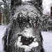 Scottie Winters Photo 5