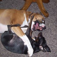 Connie Pierson Photo 13