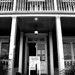 Mark Whaley Photo 10
