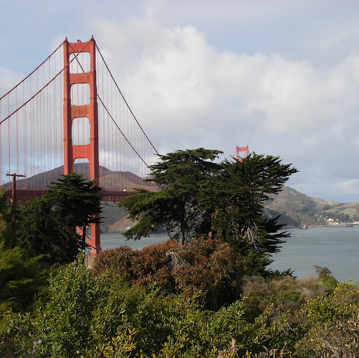 Sandra Packer Photo 15