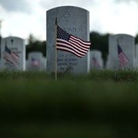 Tara Campbell Photo 34