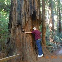 Steve Hailey Photo 10