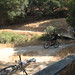 David Camp Photo 15