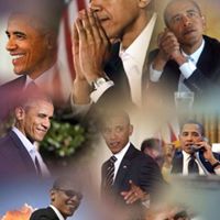 Sheena Collins Photo 33