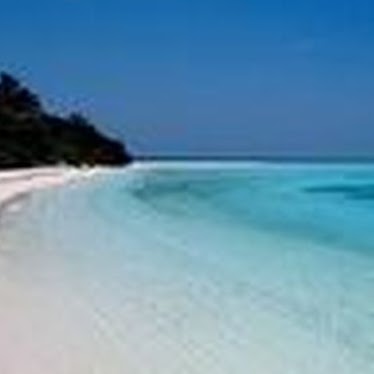 Jason Han Photo 21 Jason Han Photo 21