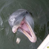 Christine Pyles Photo 3