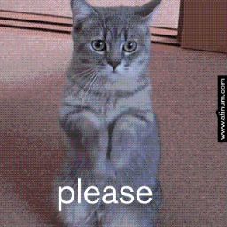 Paula Ocampo Photo 8