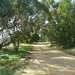 Frances Robertson Photo 17