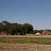 Virginia Claxton Photo 4
