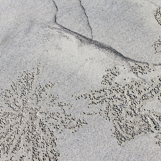 Stephen Carroll Photo 12