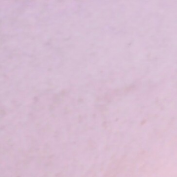 Anita Robles Photo 6