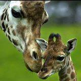 Shelley Meek Photo 15