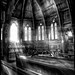 Paul Beam Photo 22