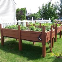 Cheryl Hammer Photo 16
