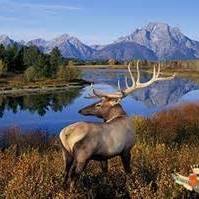 Diane Schrader Photo 19