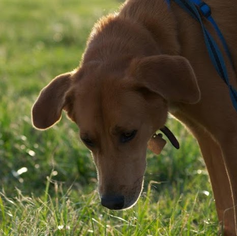 Katherine Brooks Photo 31