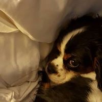 Debbie Noyes Photo 10