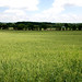 Eric Wittenberg Photo 14