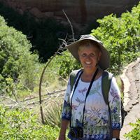 Jean Stephenson Photo 22