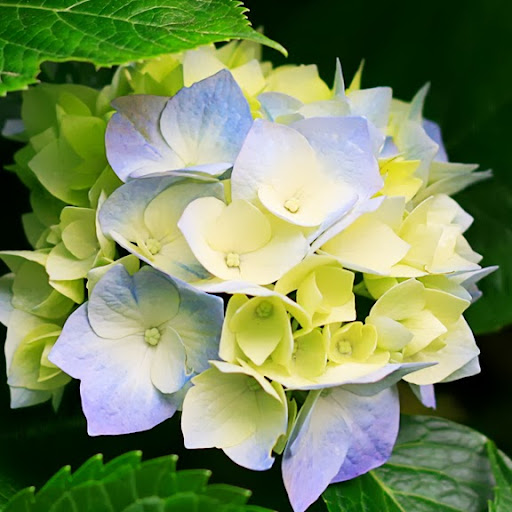 Faye Johnson Photo 40