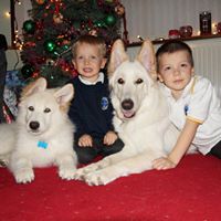 Christine Janz Photo 8