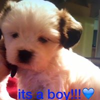 Janet Niemann Photo 6